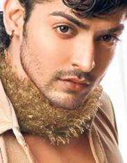 actor gurmeet choudhary